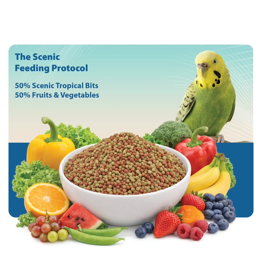 Scenic Tropical Bits Small Pet Bird Food - 1.75 Lb Bag - 1/8" Bird Pellets - Complete Nutrition for Cockatiels, Budgies, Lovebirds, Conures & Lories