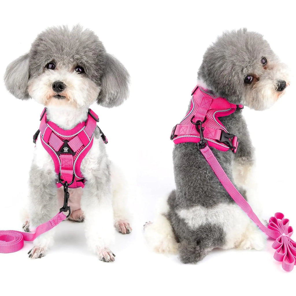 Ultimate Adjustable Dog Harness Set with No Tangle Leash - Breathable Mesh Reflective Anti-Pull Vest for Small to Large Dogs - Perfect for Nighttime Safety and Outdoor Adventures