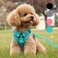 Ultimate Adjustable Dog Harness Set with No Tangle Leash - Breathable Mesh Reflective Anti-Pull Vest for Small to Large Dogs - Perfect for Nighttime Safety and Outdoor Adventures