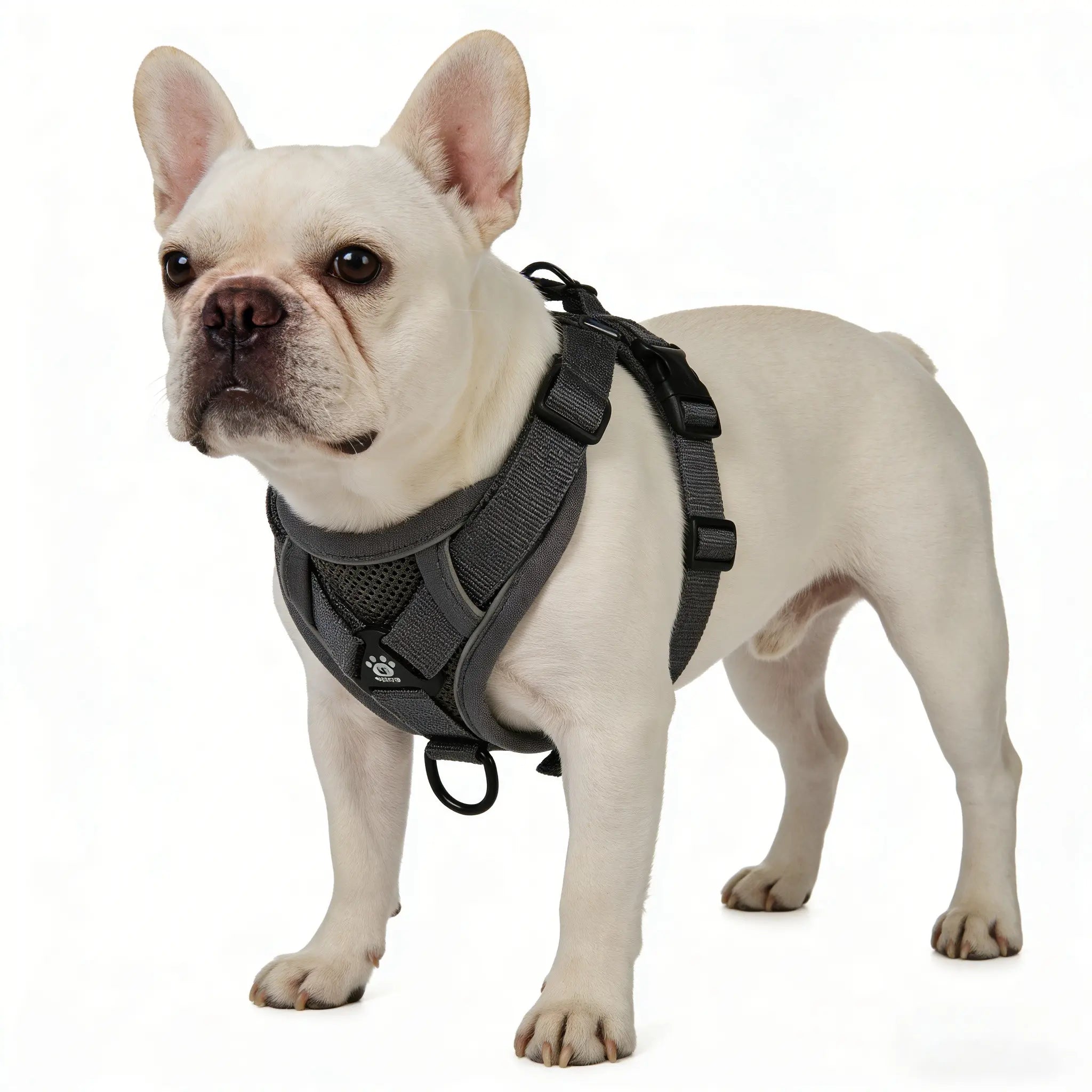Ultimate Adjustable Dog Harness Set with No Tangle Leash - Breathable Mesh Reflective Anti-Pull Vest for Small to Large Dogs - Perfect for Nighttime Safety and Outdoor Adventures